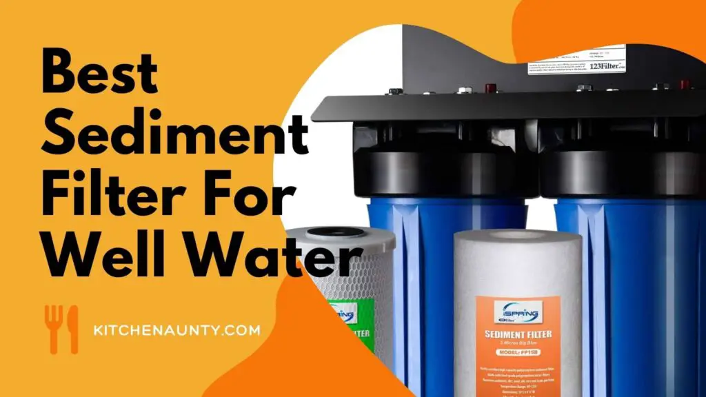 Best Sediment Filter For Well Water